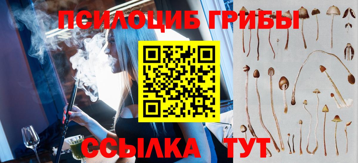 Электрогорск  Галлюциногенные грибы MAGIC MUSHROOMS  Вход с VPN 