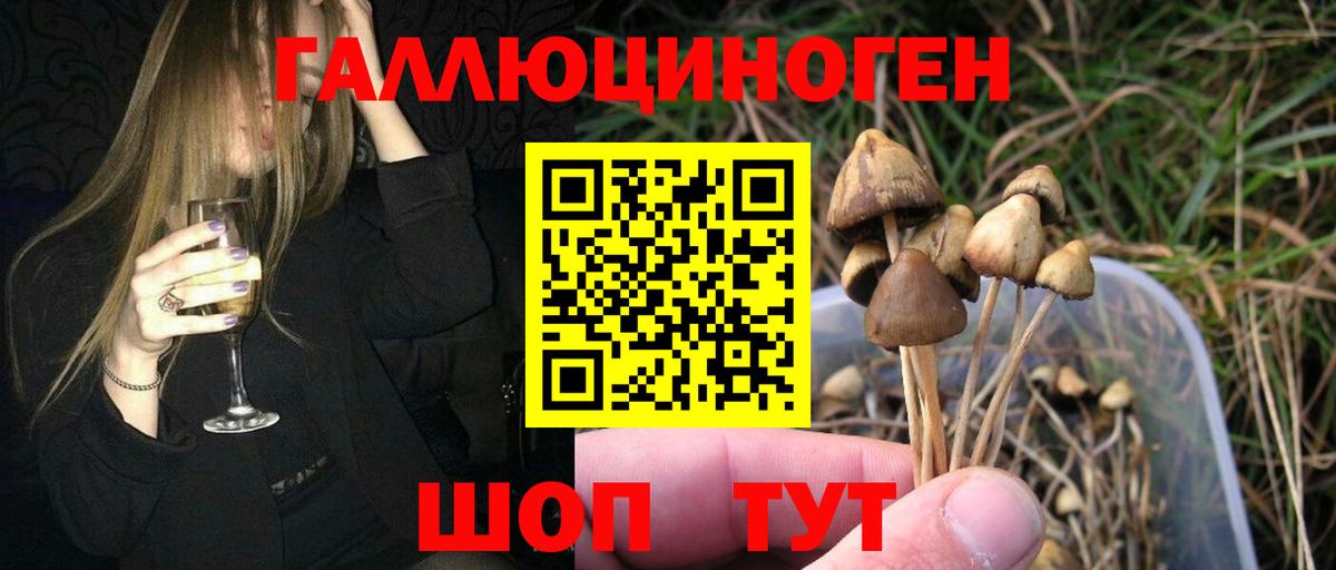 Галлюциногенные грибы MAGIC MUSHROOMS Электрогорск